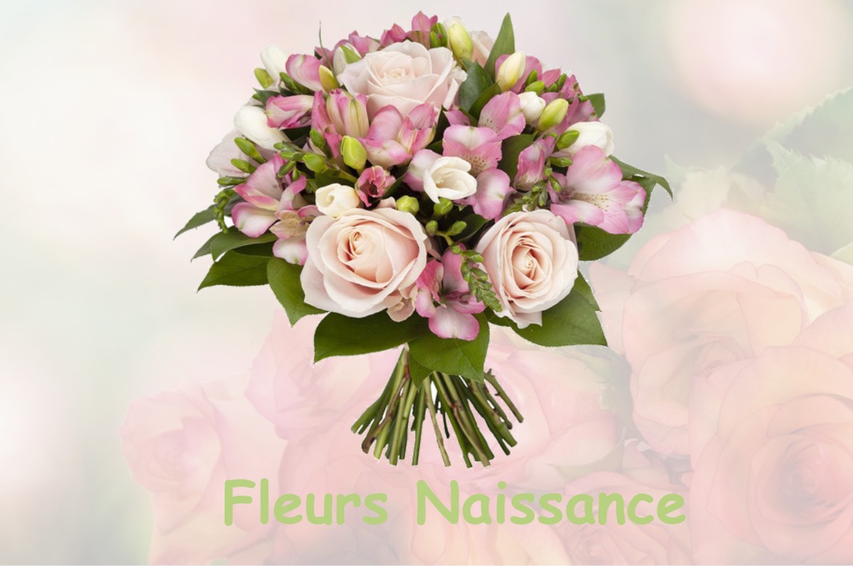 fleurs naissance SALLAGRIFFON