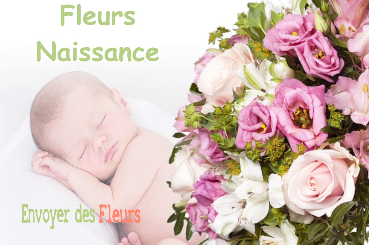 lIVRAISON FLEURS NAISSANCE à SALLAGRIFFON